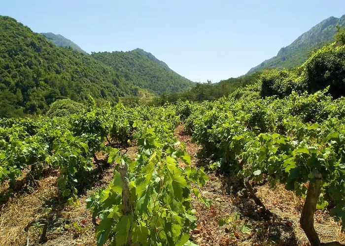 In Karbuni With Sea View, Terrace, Air Conditioning, W-lan 3609-3 Apartament